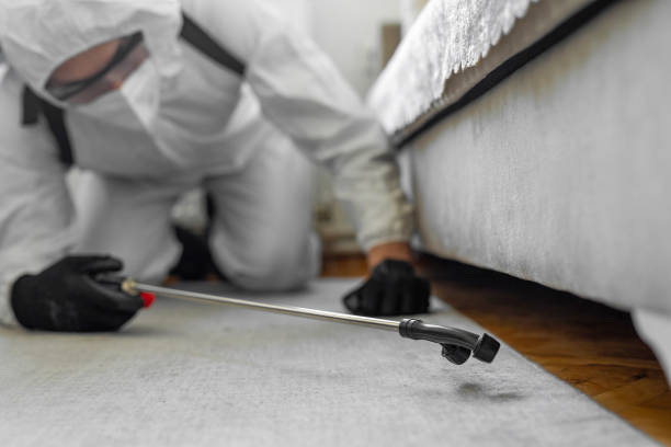 Professional Cockroach Control technician working in Wellsville, MO
