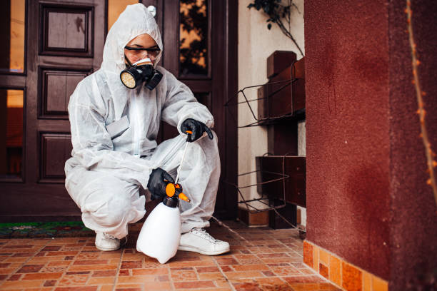 Reliable Cockroach Control contractor in Wellsville, MO by Nex Pest Control